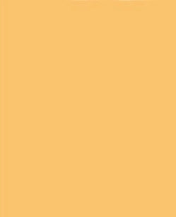 Suki Home Honey Colour