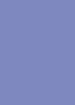 Suki Home Lavender Colour