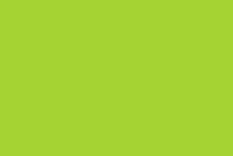 Suki Home Lime Colour