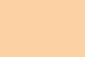 Suki Home Nude Colour