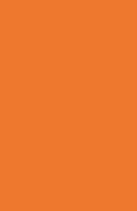 Suki Home Orange Colour