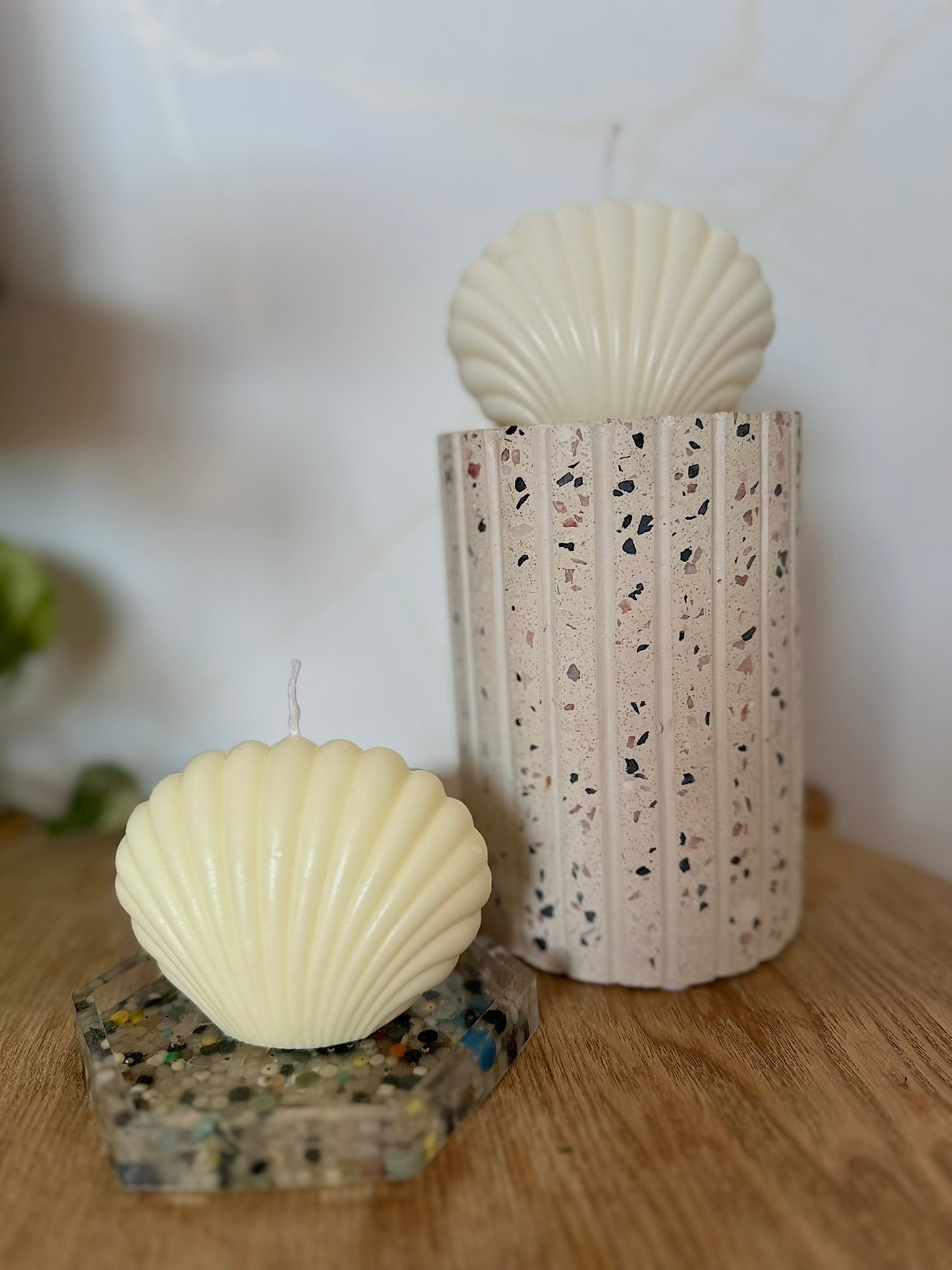 Suki Home The Shell Candle in Honey and White