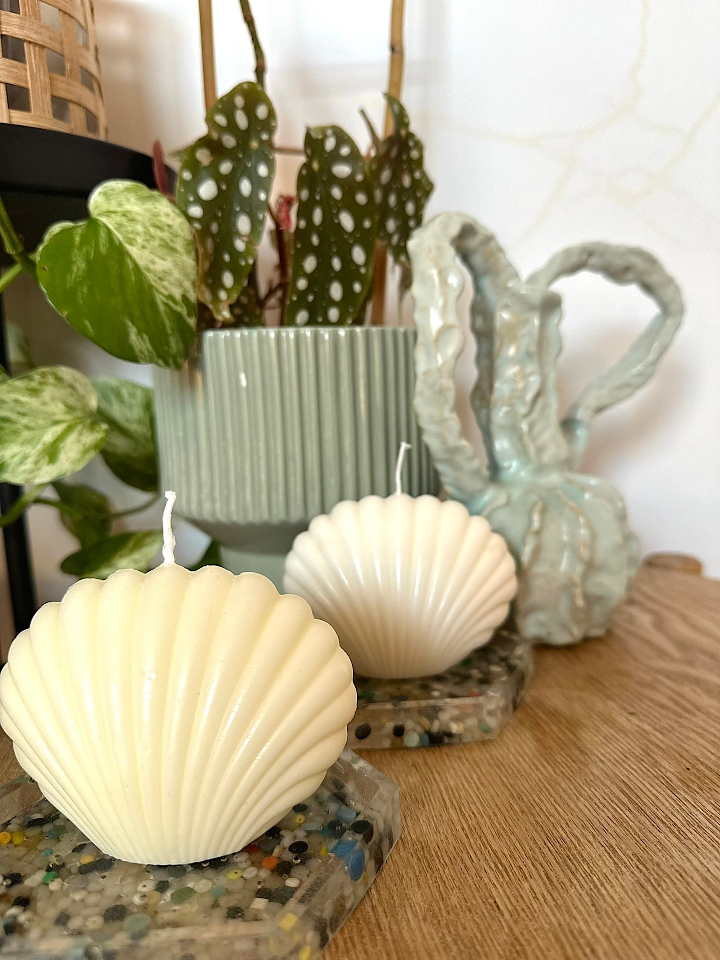 Suki Home The Shell Candle in Honey and White Image