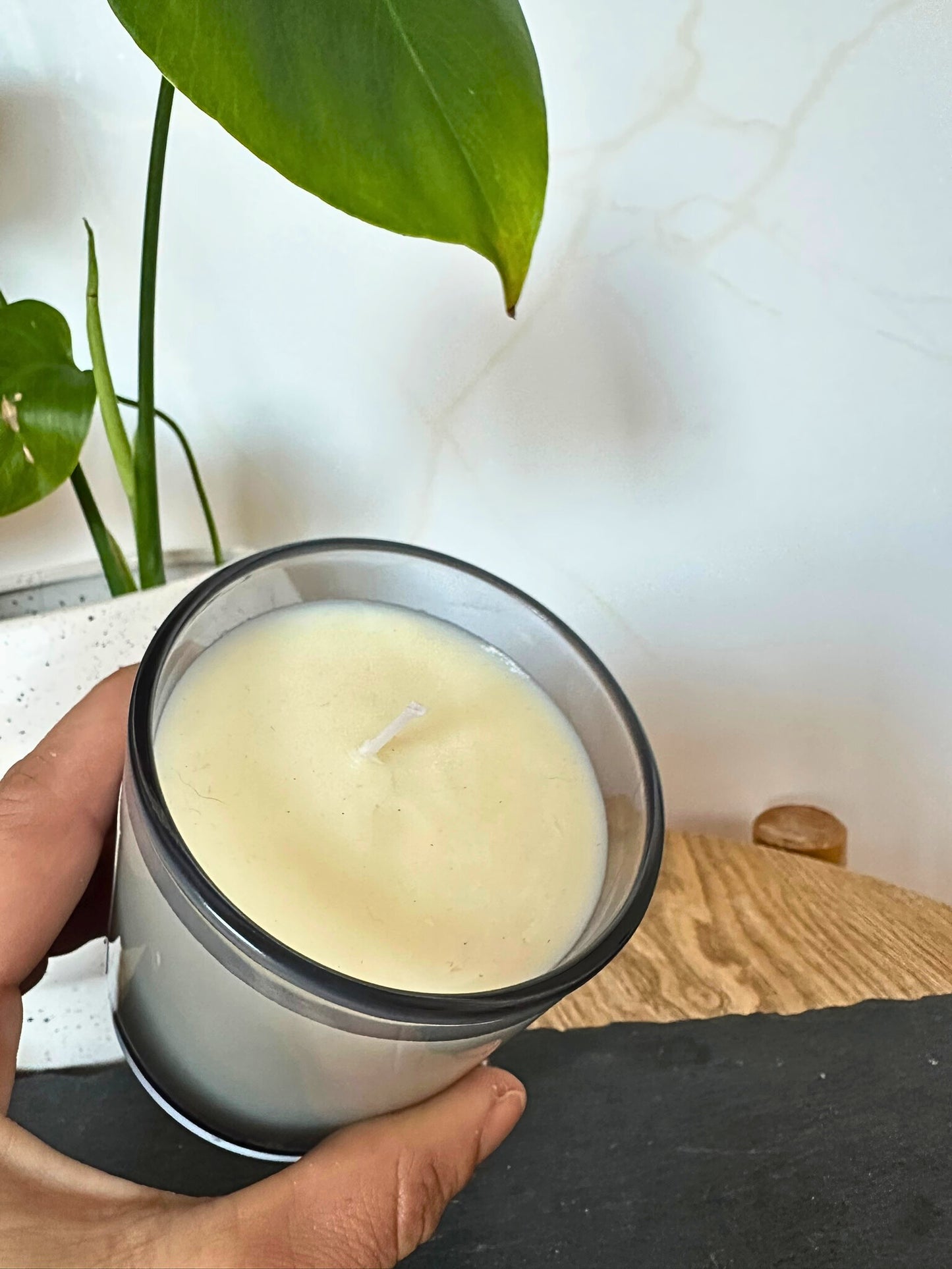 Hand holding a candle with a plant in the background