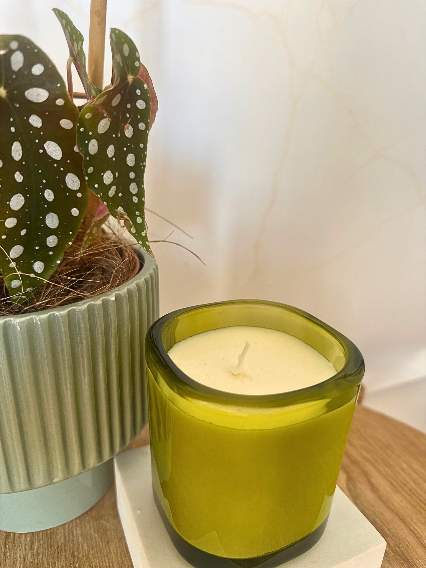 Green candle in a glass holder next to a potted plant on a wooden surface.