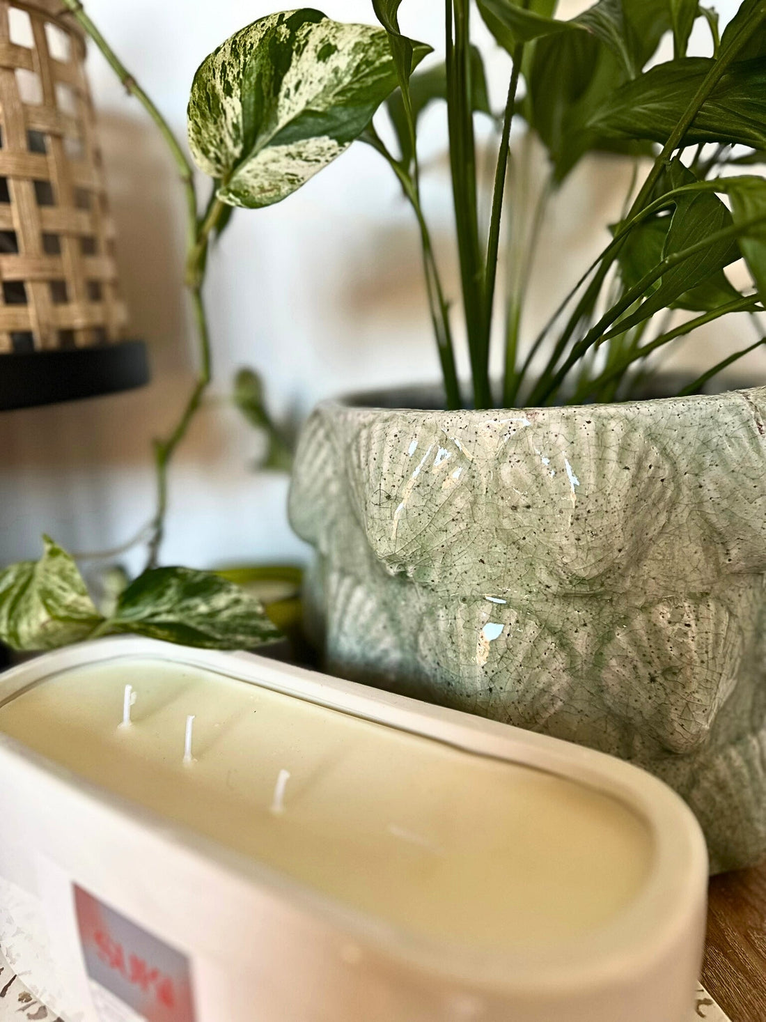 Suki Home The Sen Candle Jar in White