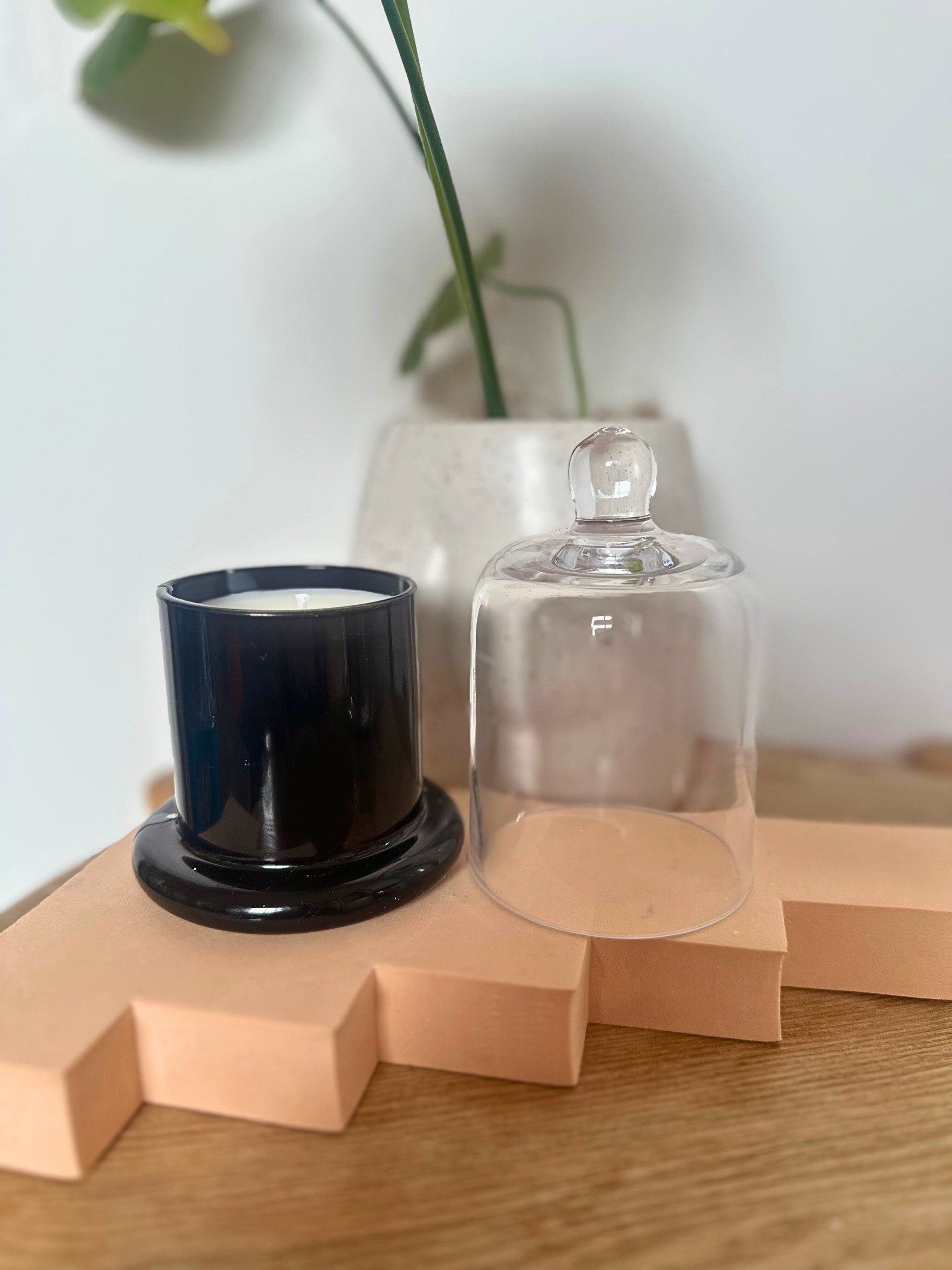 Suki Home The Black Seina Cloche Candle on a wooden block with a glass dome and plant in the background.