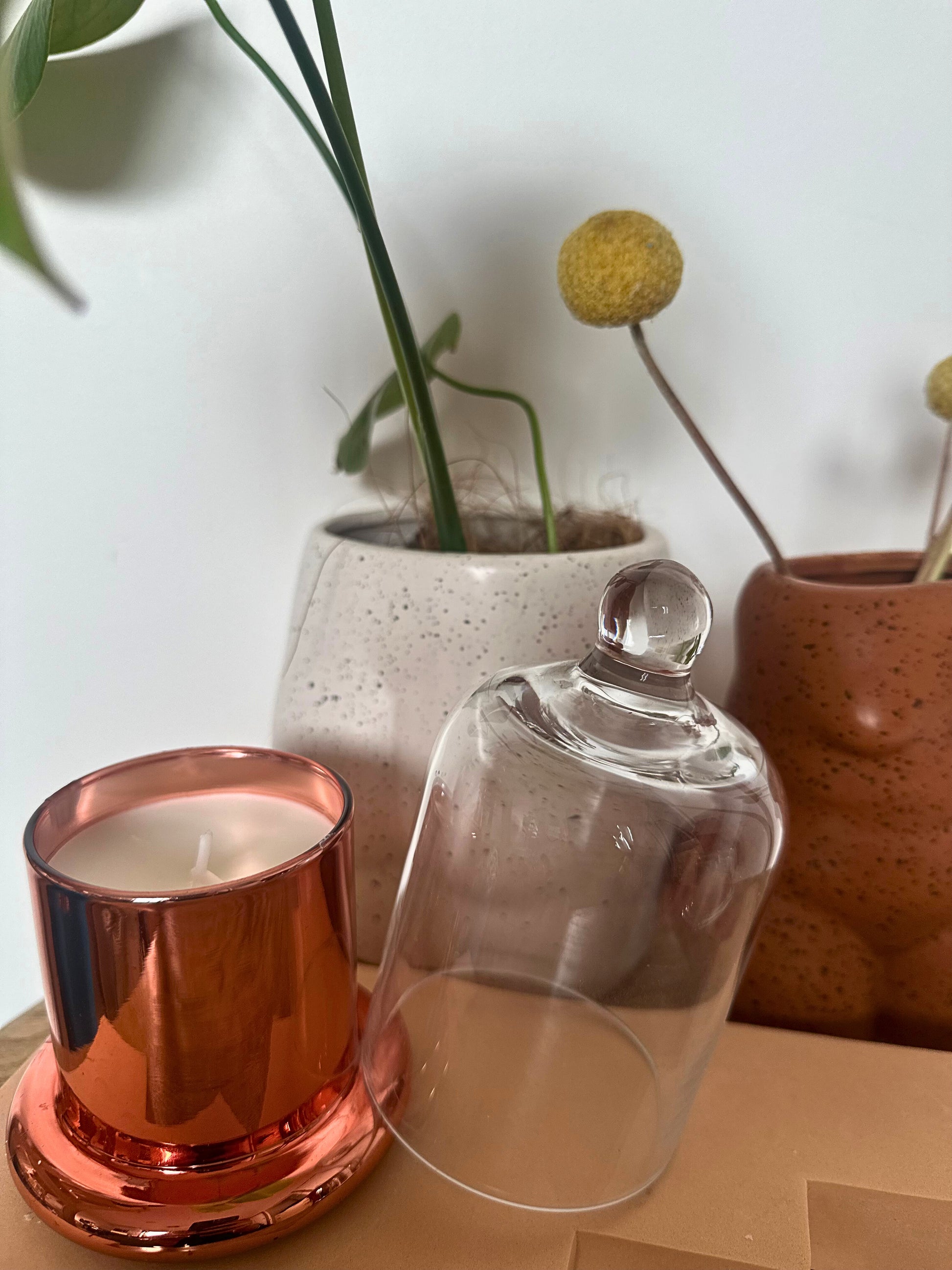 Suki Home The Seina Cloche Candle in Gold, and potted plants on a wooden surface.