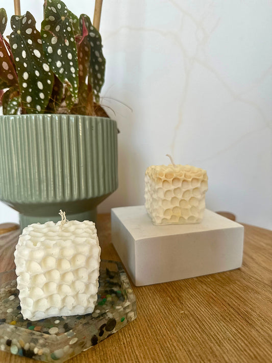 Two textured square candles on a wooden surface with a plant in the background.
