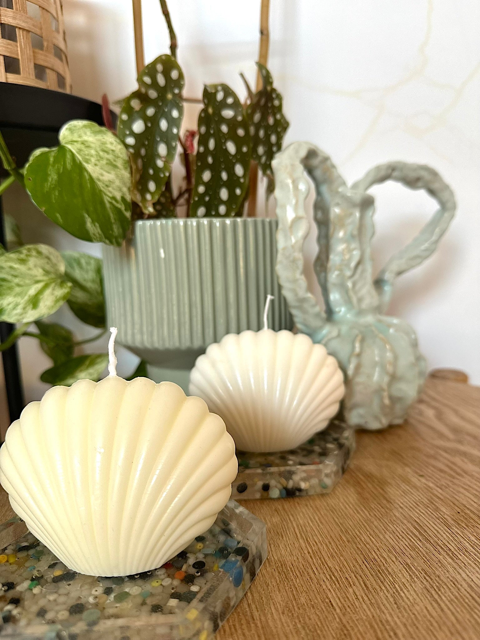 Suki Home The Shell Candle in Honey and White Image