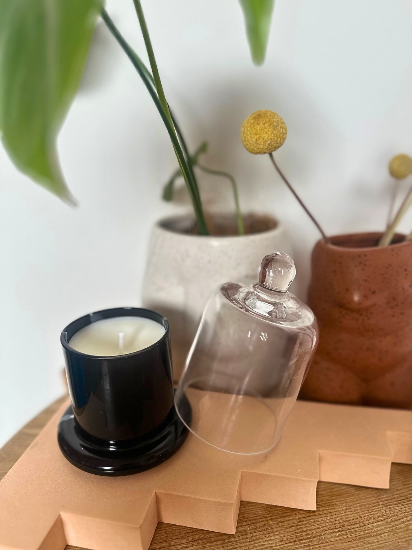 Suki Home The Seina Cloche Candle in Black on a wooden surface, surrounded by potted plants.
